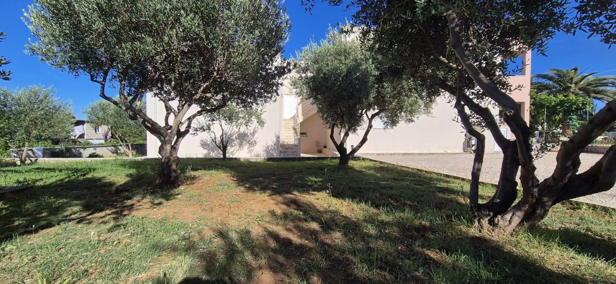 Apartman Petar Razanac Luaran gambar